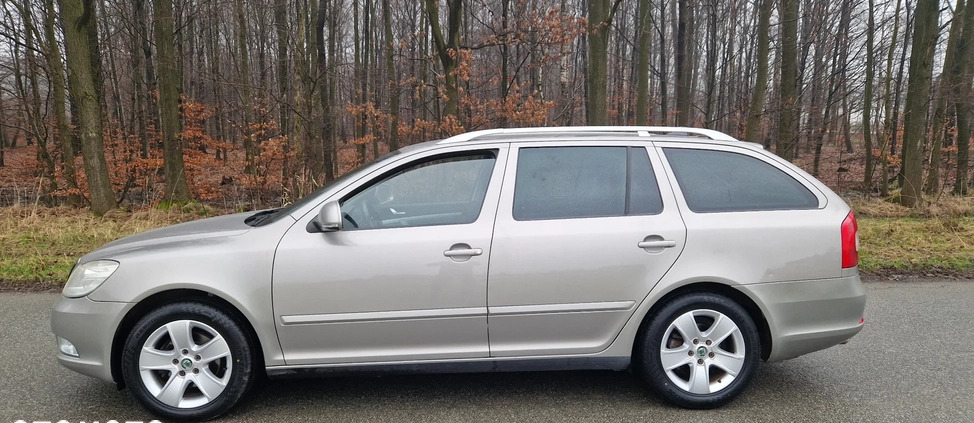 Skoda Octavia cena 23800 przebieg: 236000, rok produkcji 2009 z Police małe 232